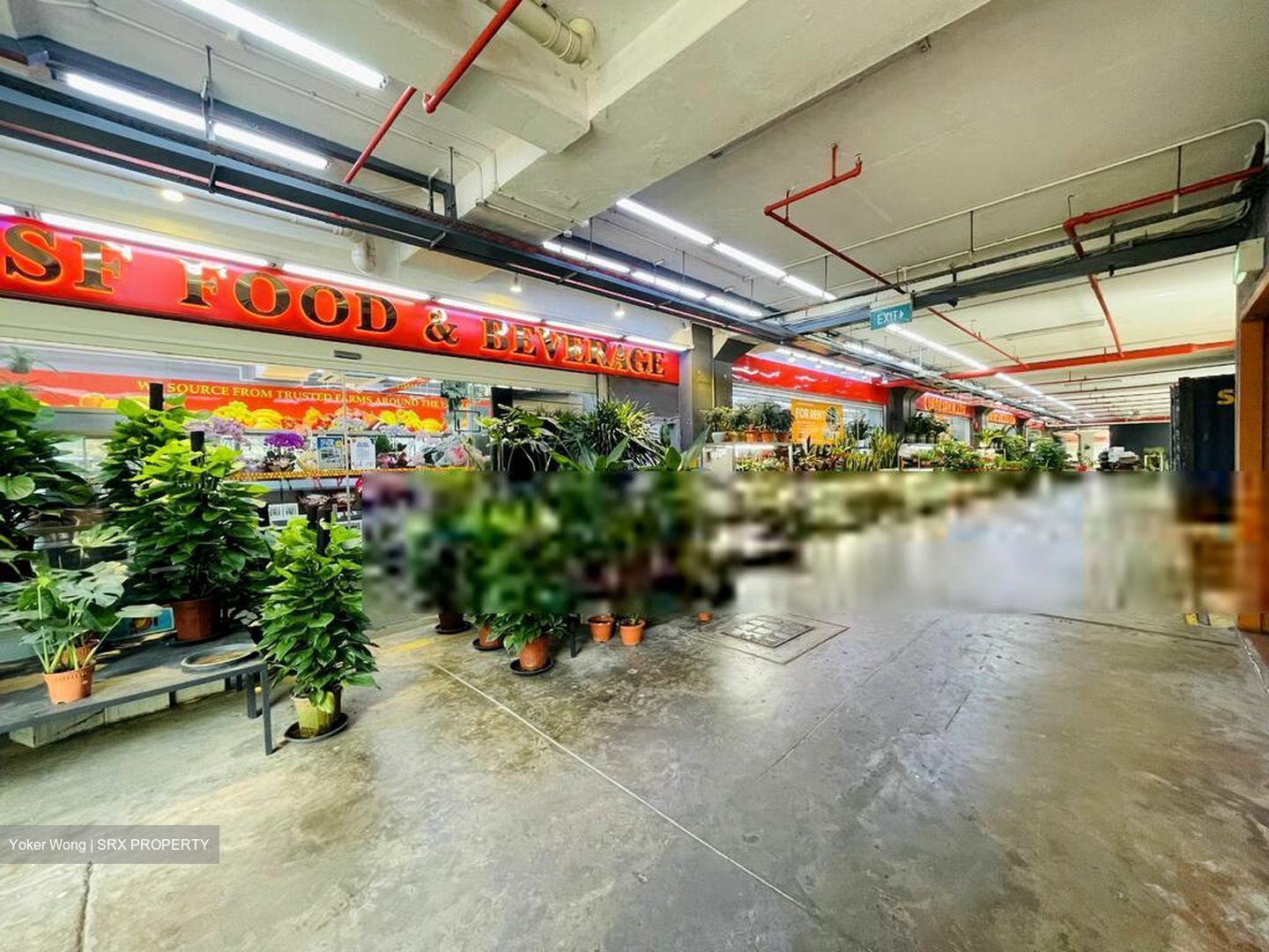 Lam Soon Industrial Building (D23), Factory #453326451
